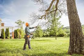 Best Pest Control for Lawns  in Hallandale Beach, FL